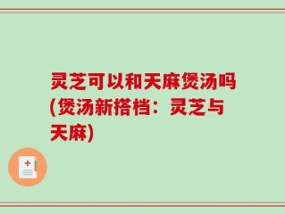灵芝可以和天麻煲汤吗(煲汤新搭档：灵芝与天麻)