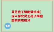灵芝孢子细胞壁组成(深入探究灵芝孢子细胞壁的构成成分