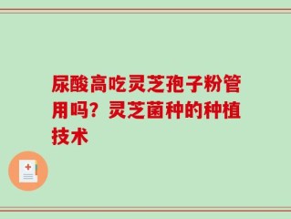 尿酸高吃灵芝孢子粉管用吗？灵芝菌种的种植技术