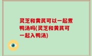 灵芝和黄芪可以一起煮鸭汤吗(灵芝和黄芪可一起入鸭汤)