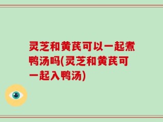 灵芝和黄芪可以一起煮鸭汤吗(灵芝和黄芪可一起入鸭汤)