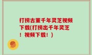 打捞古董千年灵芝视频下载(打捞出千年灵芝！视频下载！)