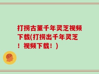 打捞古董千年灵芝视频下载(打捞出千年灵芝！视频下载！)