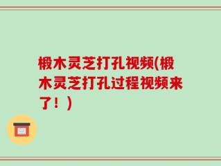 椴木灵芝打孔视频(椴木灵芝打孔过程视频来了！)