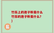 竹荪上的孢子粉是什么竹荪的孢子粉是什么？)