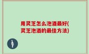 用灵芝怎么泡酒最好(灵芝泡酒的最佳方法)