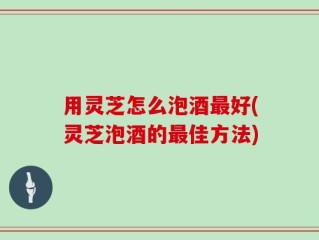 用灵芝怎么泡酒最好(灵芝泡酒的最佳方法)