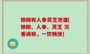 锁阳和人参灵芝泡酒(锁阳、人参、灵芝 沉香调和，一饮畅快)