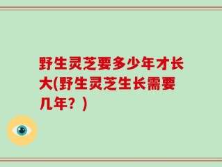 野生灵芝要多少年才长大(野生灵芝生长需要几年？)