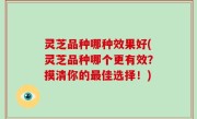 灵芝品种哪种效果好(灵芝品种哪个更有效？摸清你的最佳选择！)