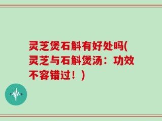 灵芝煲石斛有好处吗(灵芝与石斛煲汤：功效不容错过！)