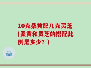 10克桑黄配几克灵芝(桑黄和灵芝的搭配比例是多少？)