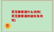 灵芝鹿茸酒什么功效(灵芝鹿茸酒的益处及功效)