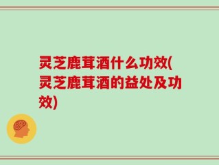 灵芝鹿茸酒什么功效(灵芝鹿茸酒的益处及功效)