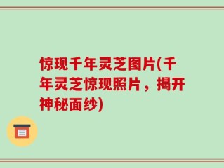 惊现千年灵芝图片(千年灵芝惊现照片，揭开神秘面纱)