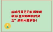 盐城种灵芝的在哪里啊最近(盐城哪里能种灵芝？最新问题解答)