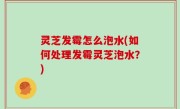 灵芝发霉怎么泡水(如何处理发霉灵芝泡水？)