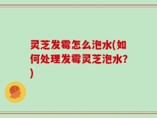 灵芝发霉怎么泡水(如何处理发霉灵芝泡水？)