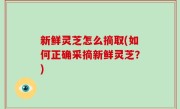新鲜灵芝怎么摘取(如何正确采摘新鲜灵芝？)