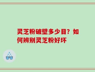 灵芝粉破壁多少目？如何辨别灵芝粉好坏