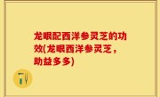 龙眼配西洋参灵芝的功效(龙眼西洋参灵芝，助益多多)