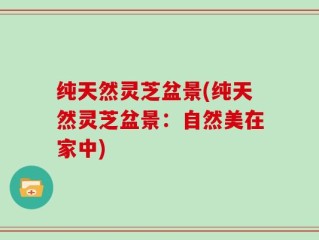 纯天然灵芝盆景(纯天然灵芝盆景：自然美在家中)