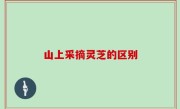 山上采摘灵芝的区别