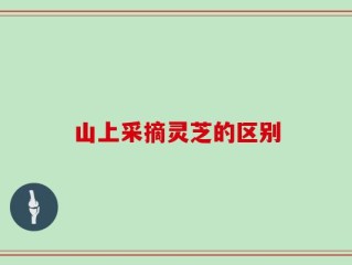 山上采摘灵芝的区别