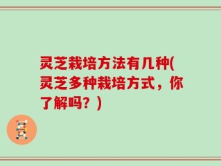 灵芝栽培方法有几种(灵芝多种栽培方式，你了解吗？)