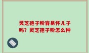 灵芝孢子粉容易怀儿子吗？灵芝孢子粉怎么种