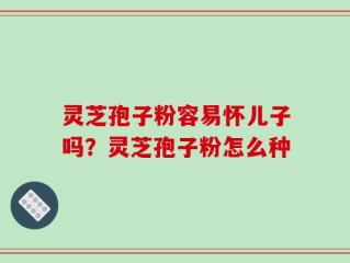 灵芝孢子粉容易怀儿子吗？灵芝孢子粉怎么种