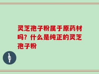 灵芝孢子粉属于原药材吗？什么是纯正的灵芝孢子粉