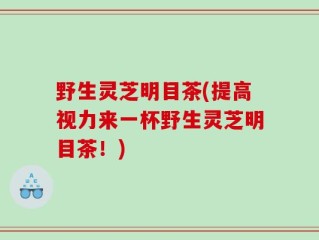 野生灵芝明目茶(提高视力来一杯野生灵芝明目茶！)