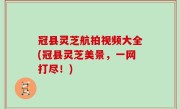 冠县灵芝航拍视频大全(冠县灵芝美景，一网打尽！)