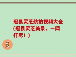 冠县灵芝航拍视频大全(冠县灵芝美景，一网打尽！)