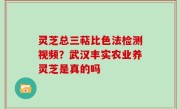 灵芝总三萜比色法检测视频？武汉丰实农业养灵芝是真的吗