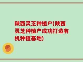 陕西灵芝种植户(陕西灵芝种植户成功打造有机种植基地)