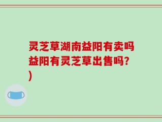灵芝草湖南益阳有卖吗益阳有灵芝草出售吗？)