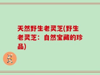 天然野生老灵芝(野生老灵芝：自然宝藏的珍品)