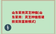 山东蒙阴灵芝种植(山东蒙阴：灵芝种植搭建脱贫致富新模式)