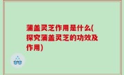 蒲盖灵芝作用是什么(探究蒲盖灵芝的功效及作用)