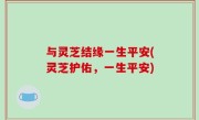 与灵芝结缘一生平安(灵芝护佑，一生平安)