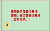西藏白灵芝栽培基地(西藏：白灵芝栽培基地，百年传承。)
