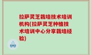 拉萨灵芝栽培技术培训机构(拉萨灵芝种植技术培训中心分享栽培经验)