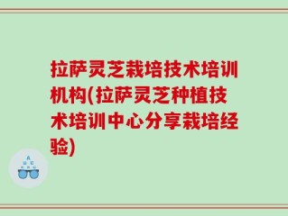 拉萨灵芝栽培技术培训机构(拉萨灵芝种植技术培训中心分享栽培经验)