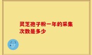 灵芝孢子粉一年的采集次数是多少