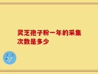 灵芝孢子粉一年的采集次数是多少