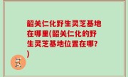 韶关仁化野生灵芝基地在哪里(韶关仁化的野生灵芝基地位置在哪？)