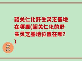 韶关仁化野生灵芝基地在哪里(韶关仁化的野生灵芝基地位置在哪？)