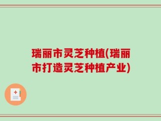 瑞丽市灵芝种植(瑞丽市打造灵芝种植产业)